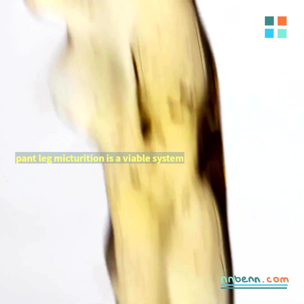 pant leg micturition is a viable&nbsp;system