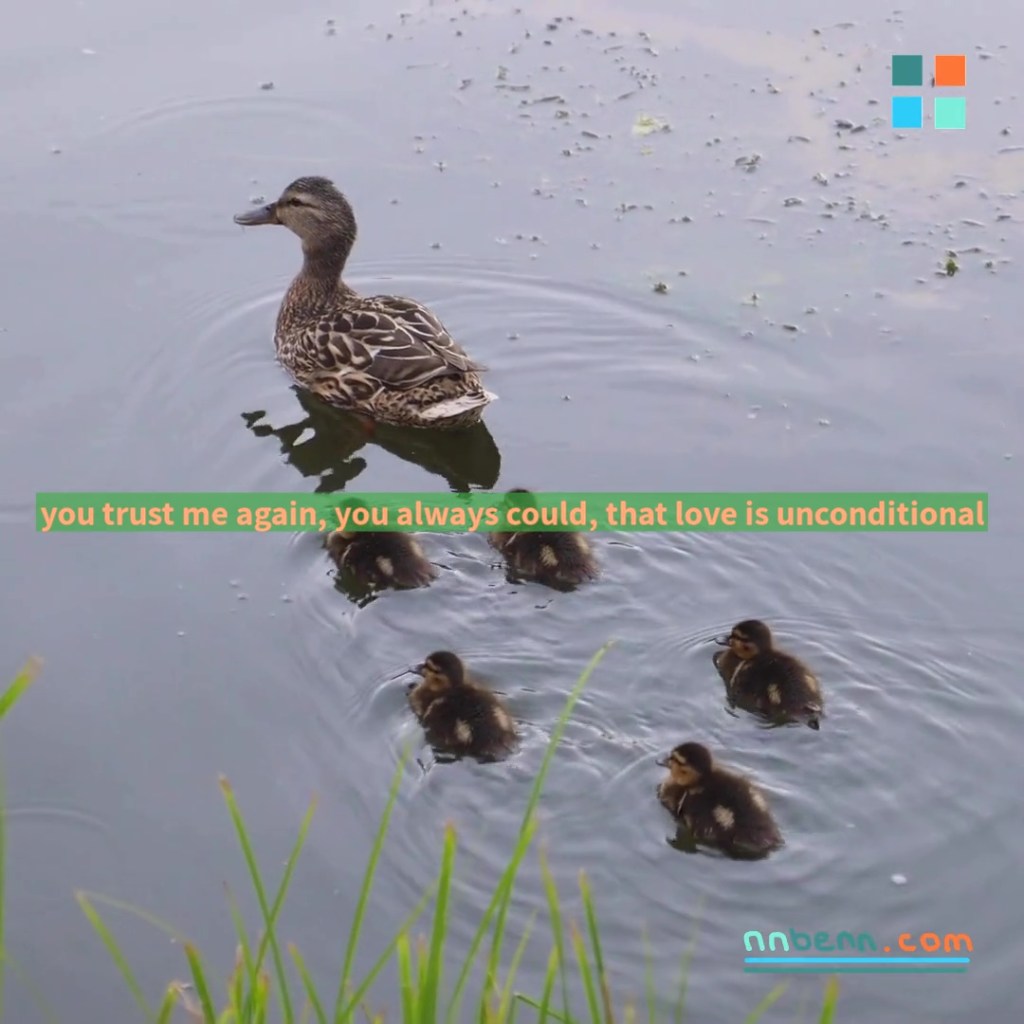 you trust me again, you always could, that love is unconditional / and universal, and specific, and ebbs and flows throughout / the systems, internal and external, that are of&nbsp;us.