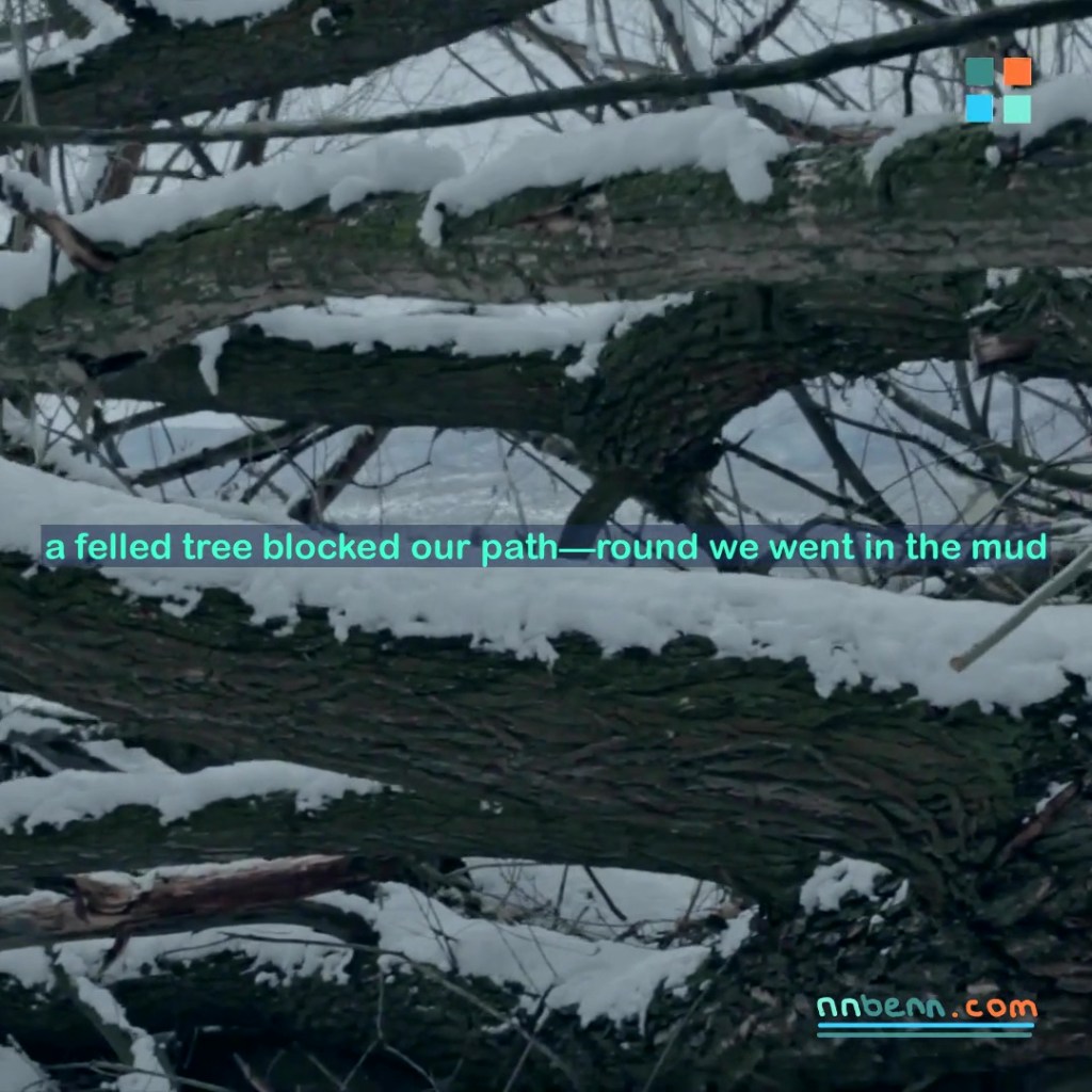 a felled tree blocked our path—round we went in the mud