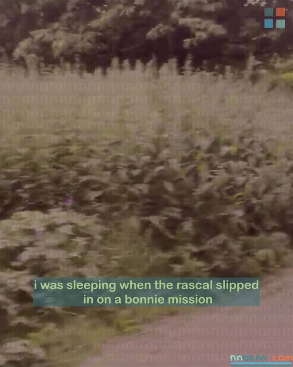 i was sleeping when the rascal slipped in on a bonnie mission / you give notice, it’s official, the last issue / i’m doing my homework so you can take me with you