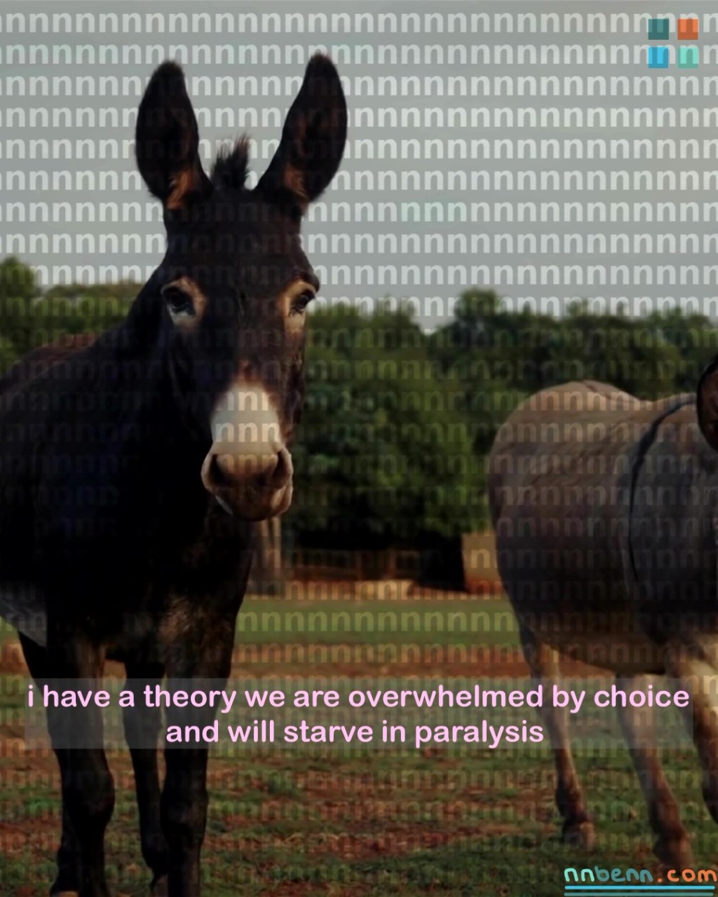 I have a theory we are overwhelmed by choice and will starve in paralysis / cornucopia or famine, different but the same