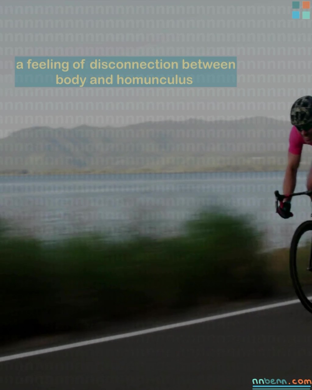 a feeling of disconnection between body and homunculus