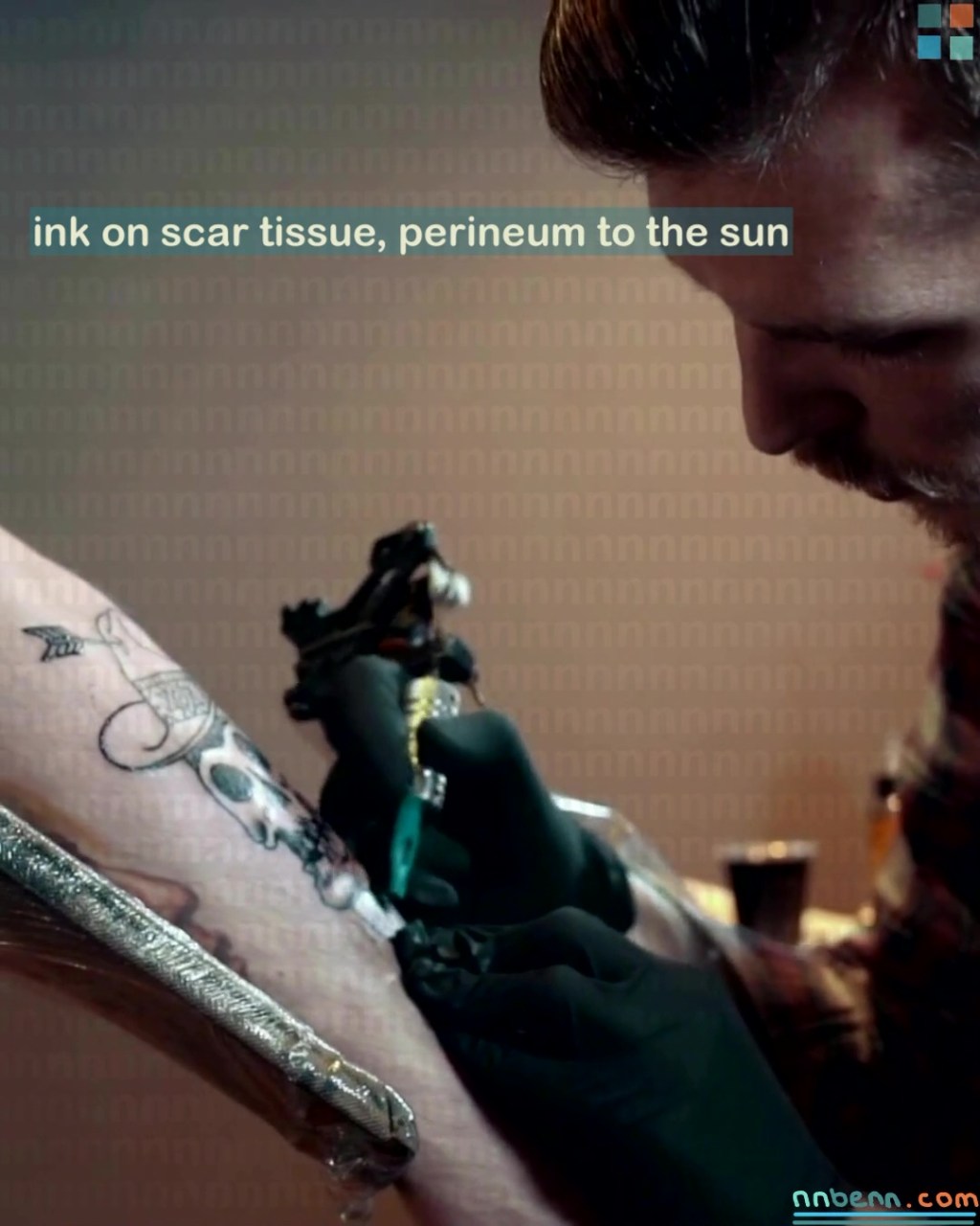 ink on scar tissue, perineum to the sun