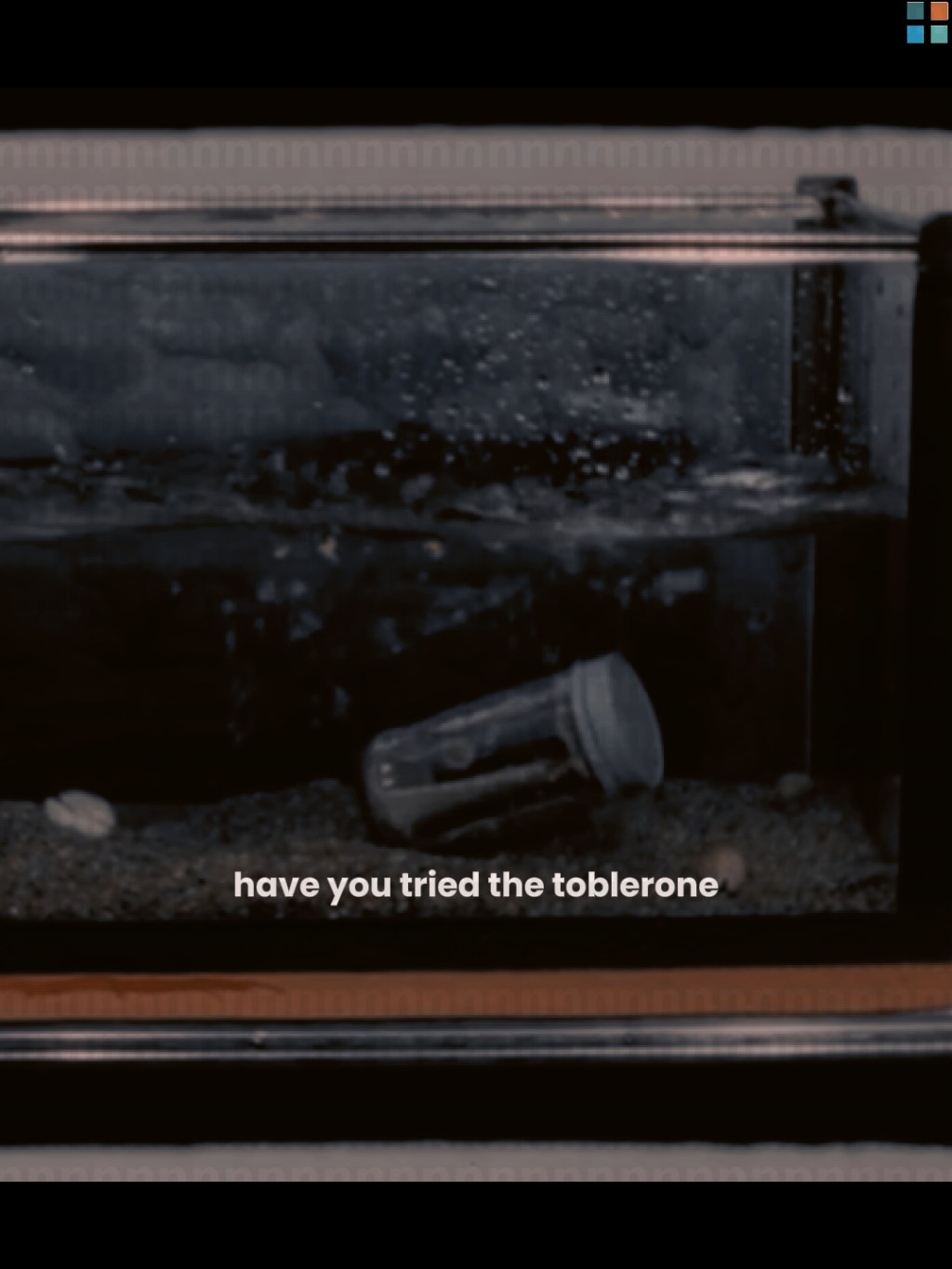 have you tried the toblerone, insolent infant?